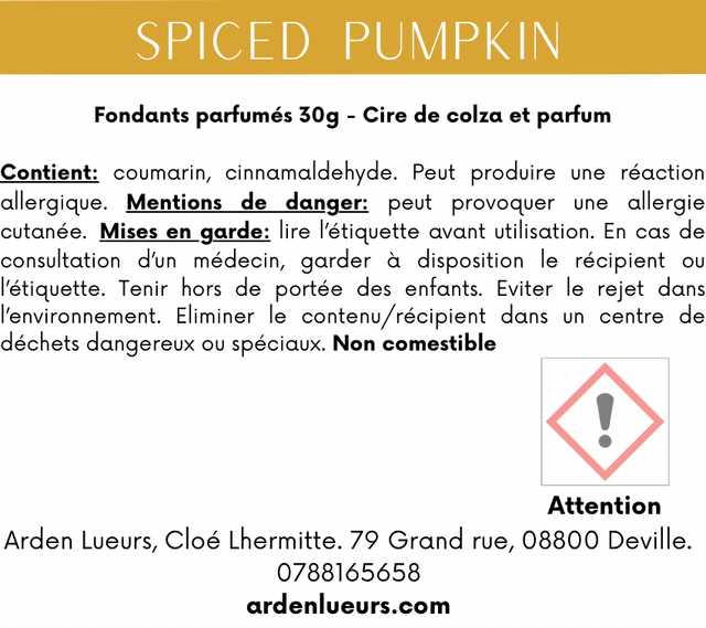 Fondant Spiced pumpkin