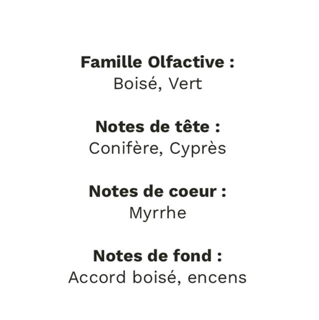 Bougie Balade en forêt 