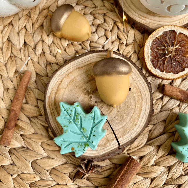 Fondants Balade en forêt 